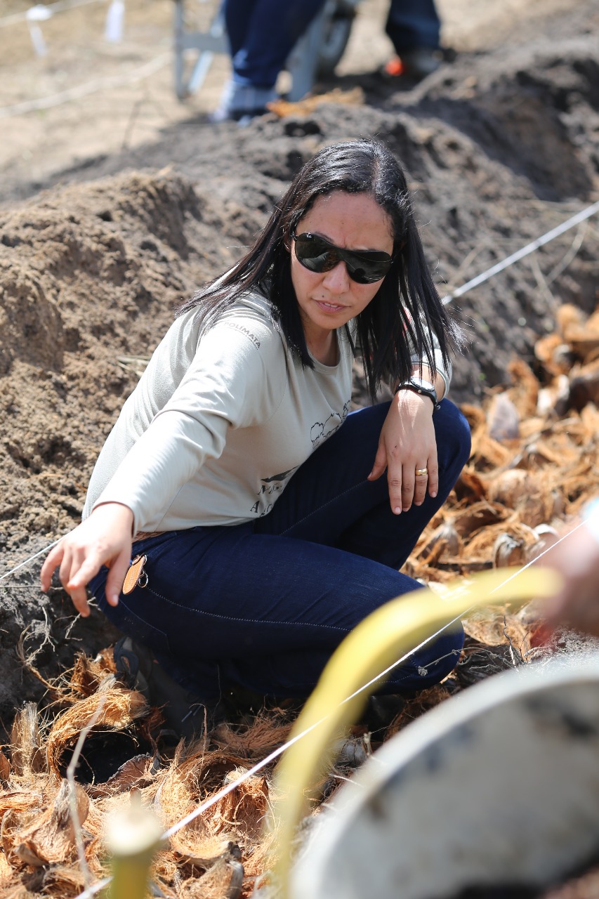 Implantação de Agrofloresta no sul da Bahia